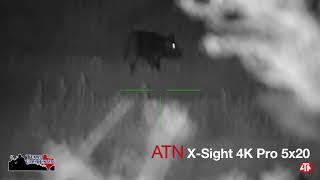 ATN X-Sight 4k Pro 5x20 Night Vision Hog Down 40 Yards