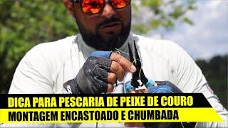 DICA PARA PESCARIA DE PEIXE DE COURO - MONTANDO ENCASTOADO E CHUMBADA