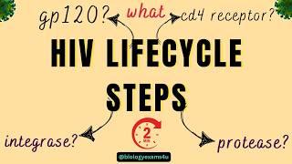 HIV Lifecycle Explained in 2 Minutes