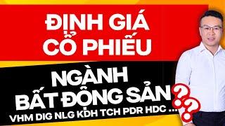 ĐỊNH GIÁ CỔ PHIẾU BẤT ĐỘNG SẢN 2025 ( VHM NVL DXG DIG NLG KDH ...) | ĐẦU TƯ CHỨNG KHOÁN