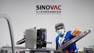 Sinovac's vaccine 'attractive option,' study finds