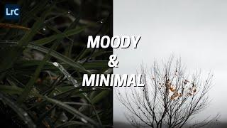 How To Edit MOODY & MINIMAL Style Nature Photos in Lightroom 2021