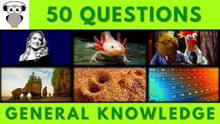 General Knowledge Quiz Trivia | 50 Questions | Do You Know  #quiz #trivia #triviachallenge