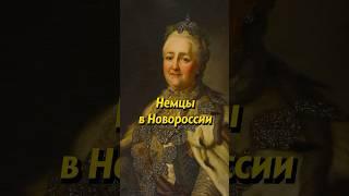 ЗАСЕЛЕНИЕ НЕМЦАМИ НОВОРОССИИ. Мединский #история #россия #shorts