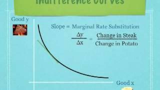 Introduction to Indifference Curves and Budget Lines Economics