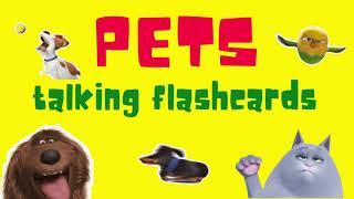 Pets Talking Flashcards