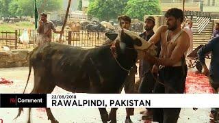 Muslims in Pakistan celebrate Eid al-Adha