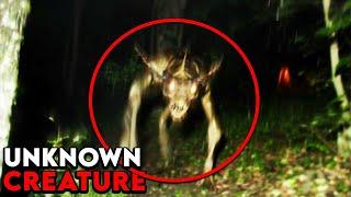 "NO WAY" Shocking Creatures on Trail Cam Footage