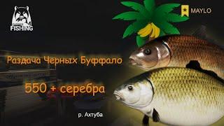 Фарм серебра,  Буффало р. Ахтуба | Русская Рыбалка 4 | РР4 MAYLO