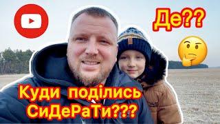 Що сталося із сидератамиЧи вимерз дайкон⁉️