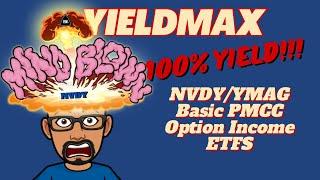 YieldMax ETFs | A Rambling About YieldMax ETFs | 100% Yield! | NVDY | YMAG Option Income ETFs