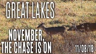 Great Lakes 2018 | November, The Chase Is On