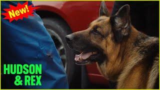 Hudson & Rex 2025 | Dog and Pony Show | Hudson & Rex New Episodes 2025 Full HD