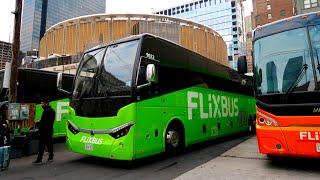 NYC to Boston by BUS for $30: What's Flixbus USA like?