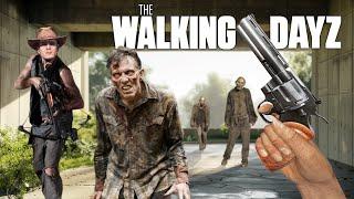 Surviving a THE WALKING DEAD Inspired DayZ Server…