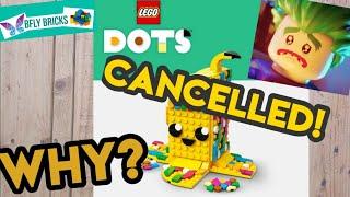 Here's the reasons why LEGO Cancelled DOTS