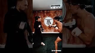 T20 Boxing Gloves - Best Boxing Gloves - Training Gloves For Beginners | Starpro Combat