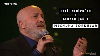 Halil Necipoğlu - MECNUNA SORDULAR