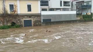 Hochwasser in Krems an der Donau 2024