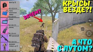 КРЫСЫ ВЕЗДЕ?! А ЧТО С ЛУТОМ?! В НОВОМ METRO ROYALE / PUBG MOBILE / МЕТРО РОЯЛЬ