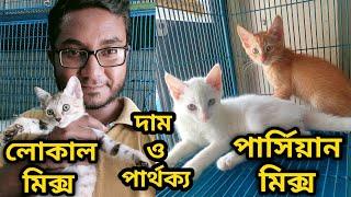 Mixed breed cat price in Bangladesh|Cat price in 2024| Katabon animal market in Bangladesh| #persian