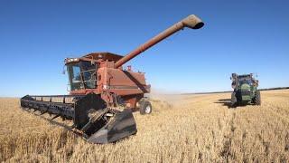 Southern Queensland winter crop harvest