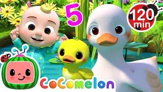 Count 5 Little Ducks with Baby JJ!  | CoComelon Nursery Rhymes and Kids Songs | Animals for Kids