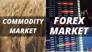 Commodity Market Vs. Forex Market | Which is better? | Daily Commodity