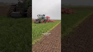 Planting Green Winterweizen in leguminosenfreie Sommerzwischenfrucht zum Wasserschutz