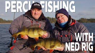 Perch Fishing with Ned Rig | Westin Fishing