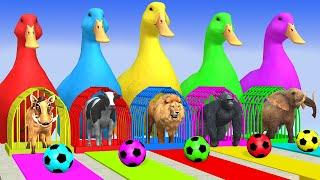 Long Slide Game With Elephant Gorilla Buffalo Hippopotamus Tiger 3d Animal Game Funny 3d Animals