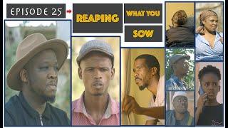 uDlamini YiStar P3 - Reaping What You Sow (episode 25)