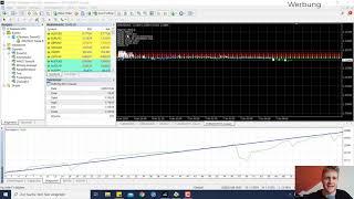 Test stopped because of Stop Out - MetaTrader 4 Tester Meldung