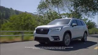 Subaru Ascent - Tiffany Renee Bear VO