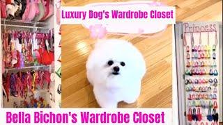 Luxury dog closet tour | Bella Bichon’s Princess wardrobe dog closet