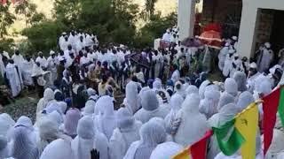 አበባ አበባና - ዘማሪት ቤተልሔም ብርሃነ - መጽበዓይ ሒዘ ትግርኛ መዝሙር (Zemarit Bethlehem Brhane - Metsibeay Hize)