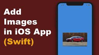 HOW TO ADD IMAGES TO IOS APP - Swift (2020)
