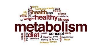 Moddalar va energiya almashinuvi || Metabolizm