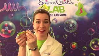 Center Of Gravity Craft - Science Girl's Home Lab (SGHL)