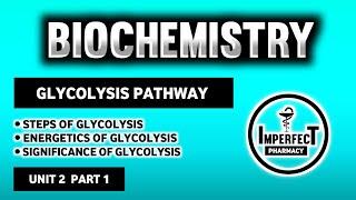 Glycolysis Pathway | Energetics And Significance Of Glycolysis | Carbohydrates Metabolism | Biochem