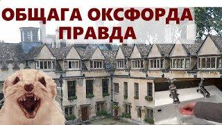 Ужасы общежития Оксфорда / Вся правда про общагу Оксфордского Университета - Общага Оксфорда