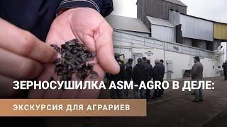 Сушка подсолнечника на конвейерной зерносушилке: демонстрация работы ASM-AGRO-42