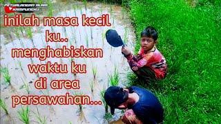 mancing belut sawah,Kehidupan Di Pedesaan  || petualangan alam kampungku