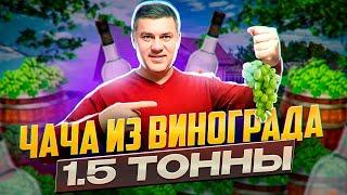 Чача из винограда КИШМИШ