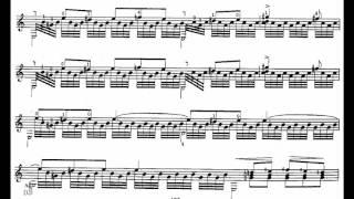 Johann Kaspar Mertz: Elegie (Score Video)