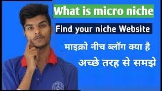 What is micro niche blog | micro niche blog kya hai | micro niche topics ka use kaise use kare