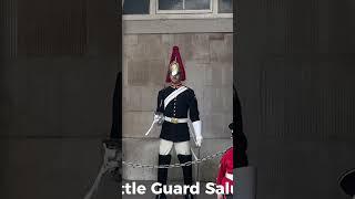 LKG London Kings Guard Wow Little Guard Salute #horseguardsparade