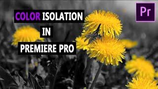 Color Isolation - Adobe Premiere Pro tutorial