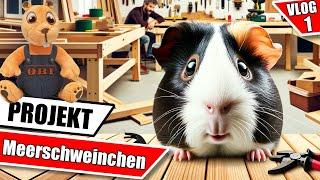 Projekt Meerschweinchenstall - Doctime Vlog #01