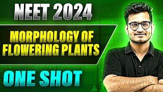 MORPHOLOGY OF FLOWERING PLANT in 1 Shot: FULL CHAPTER COVERAGE (Theory+PYQs) ||  Prachand NEET